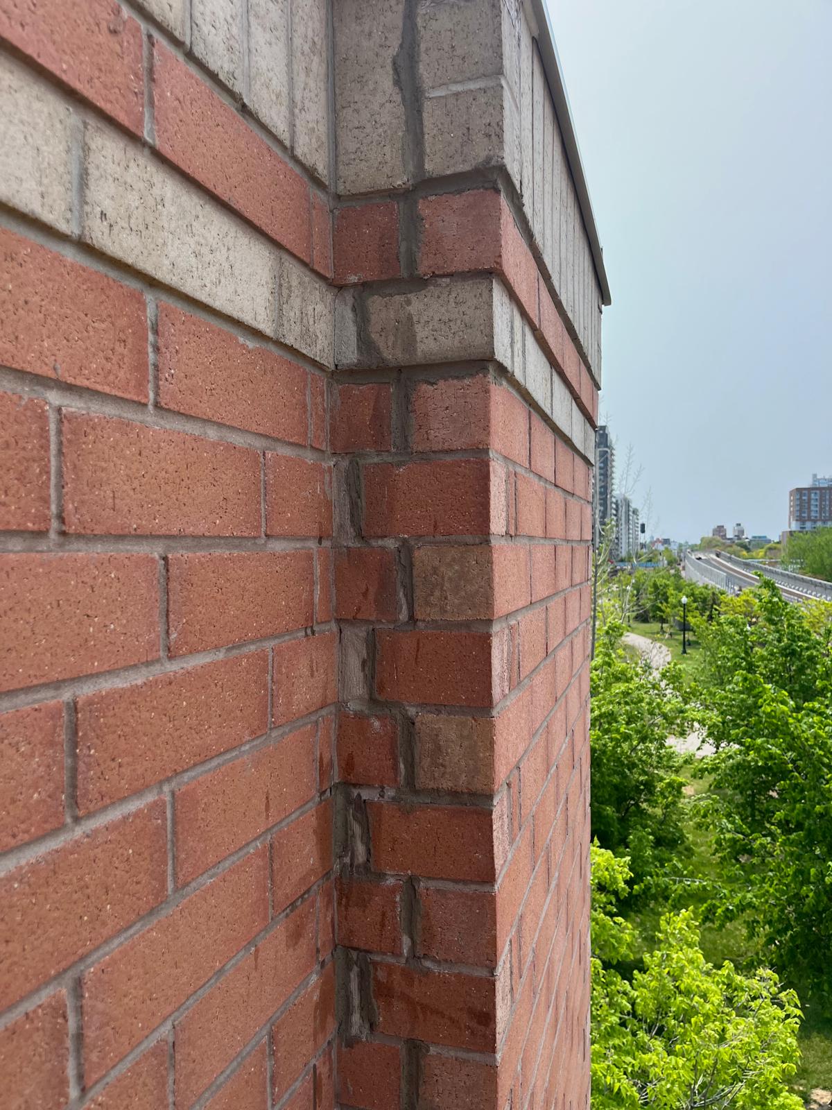 WhatsApp Image 2025-12-19 at 08.13.29 (1)