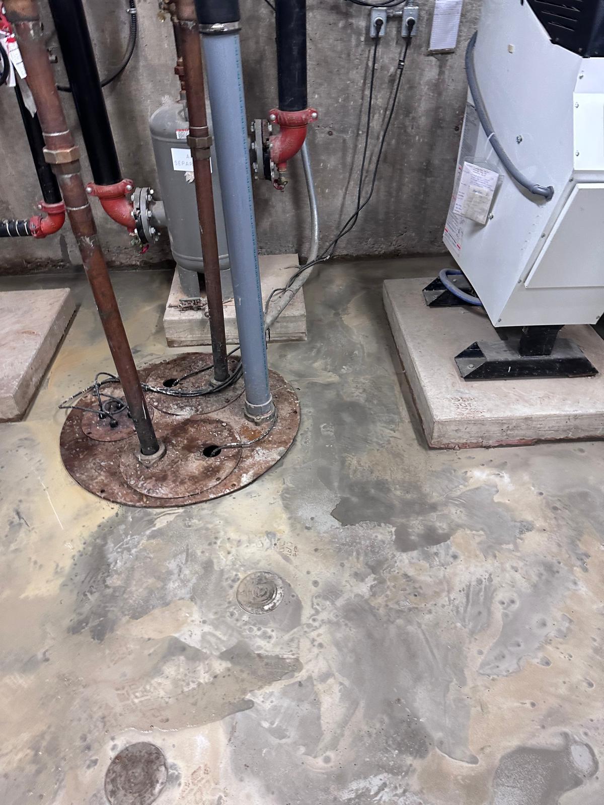 WhatsApp Image 2025-12-19 at 09.04.27 (1)