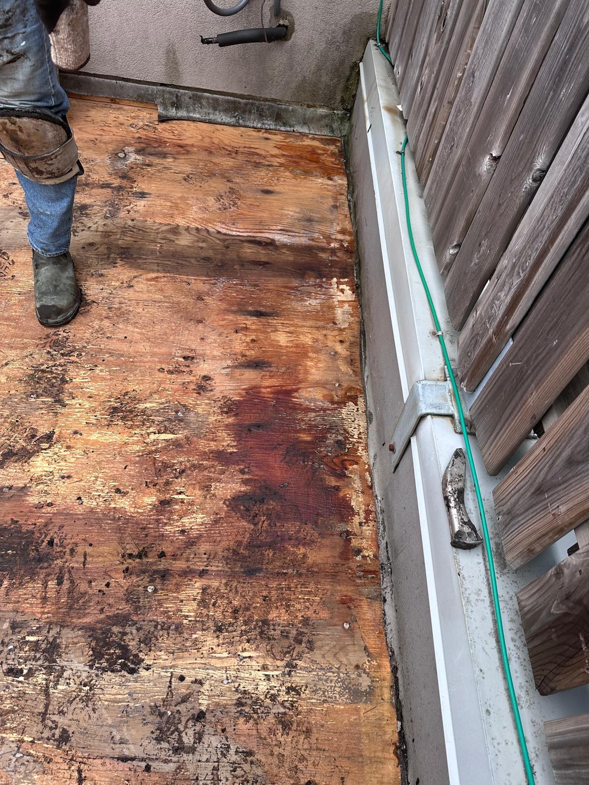 WhatsApp Image 2025-12-19 at 09.08.00 (1)