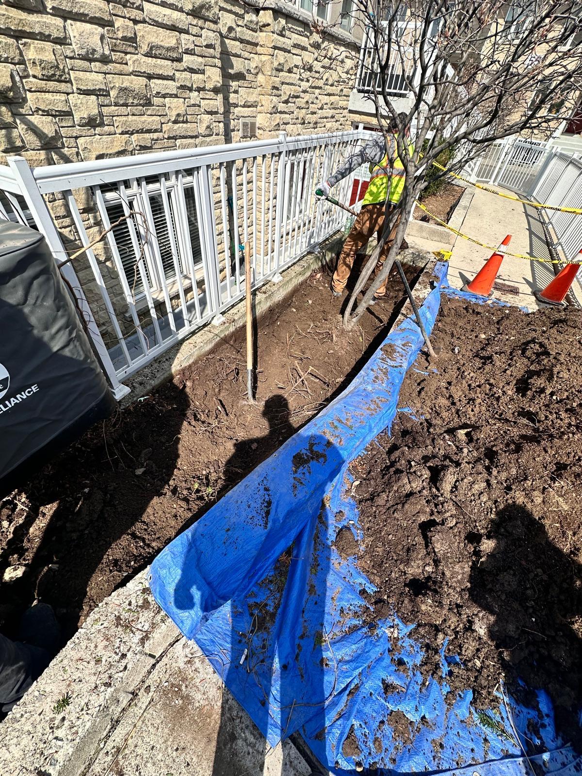 WhatsApp Image 2025-12-19 at 09.36.08 (2)