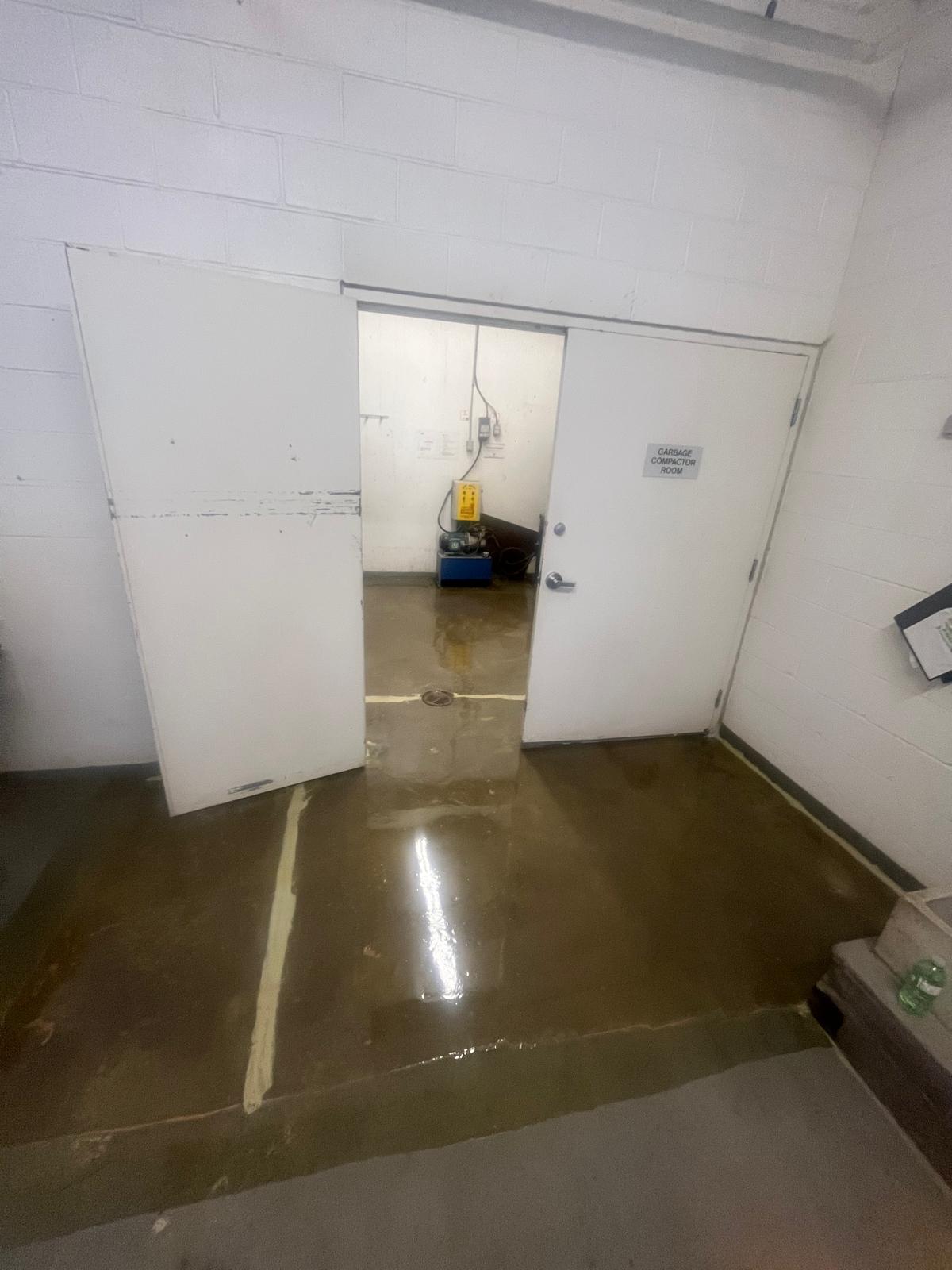 WhatsApp Image 2025-12-19 at 09.50.59