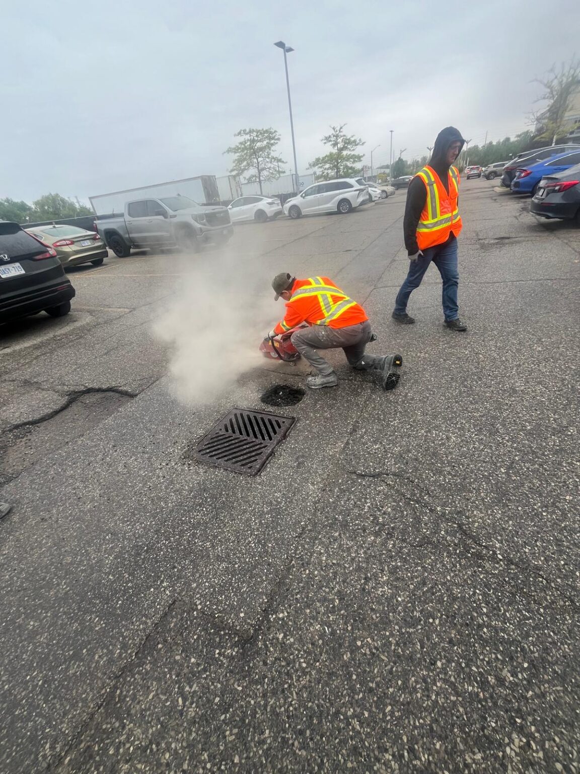 WhatsApp Image 2025-12-19 at 09.54.08