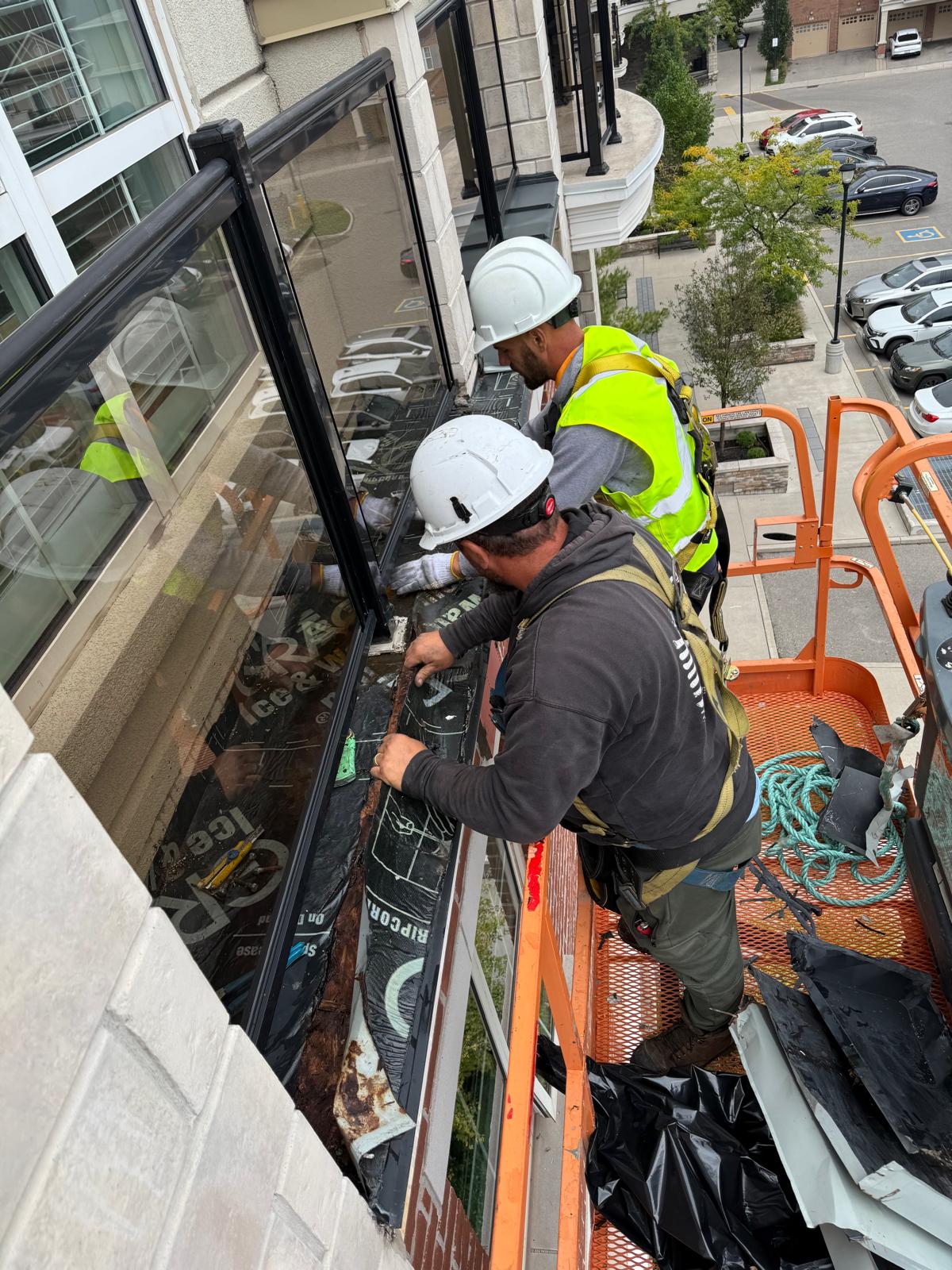 WhatsApp Image 2025-12-19 at 10.12.58 (2)