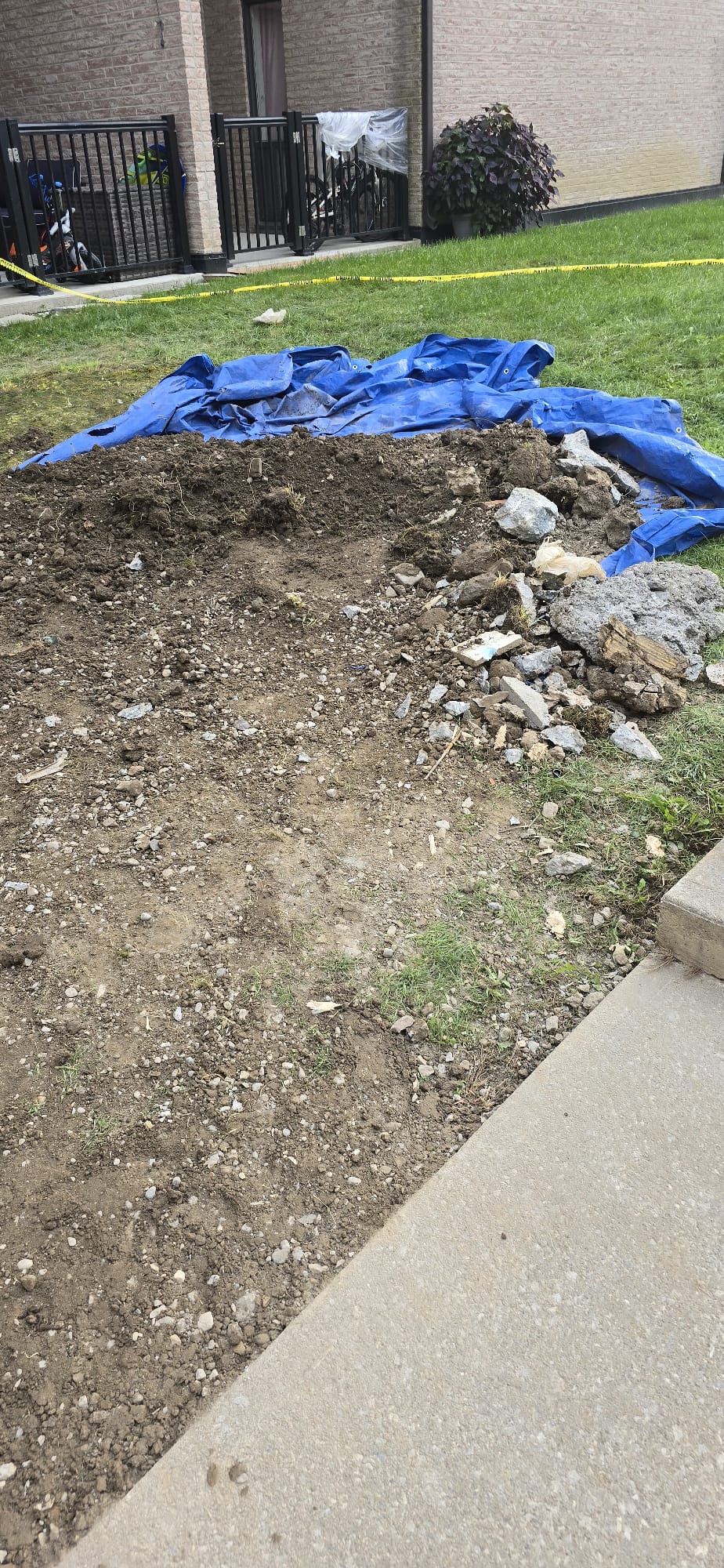 WhatsApp Image 2025-12-19 at 10.19.40